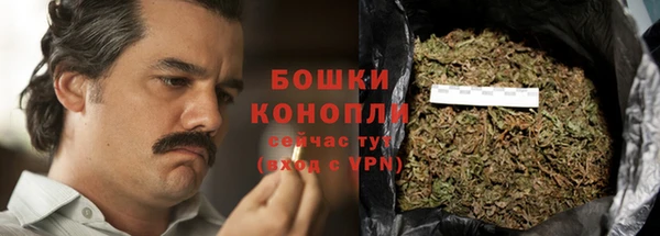 прущие грибы Богданович