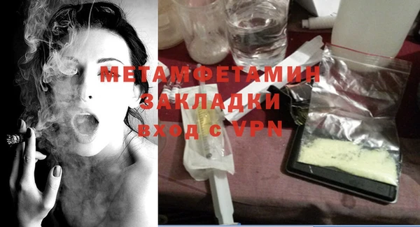 прущие грибы Богданович