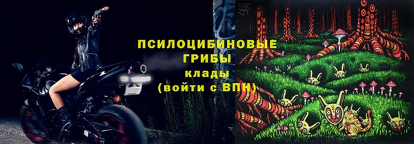бошки Богородицк