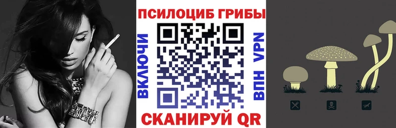 цена   Катав-Ивановск  Псилоцибиновые грибы прущие грибы 