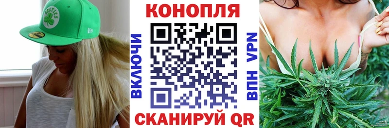 Бошки марихуана конопля  Катав-Ивановск 